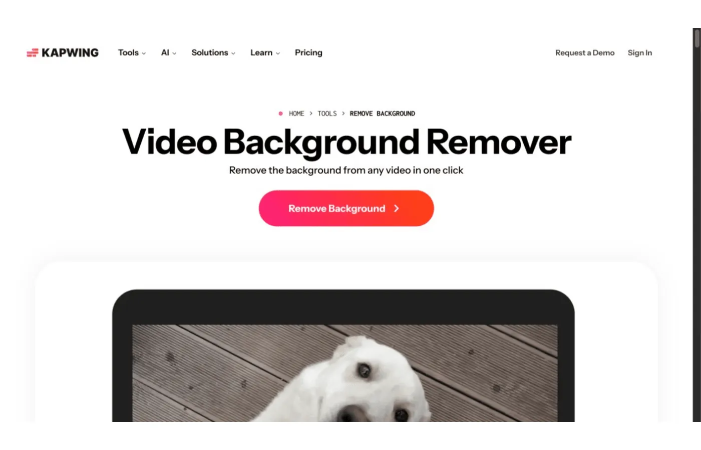 Strumento Kapwing per rimuovere lo sfondo video con IA