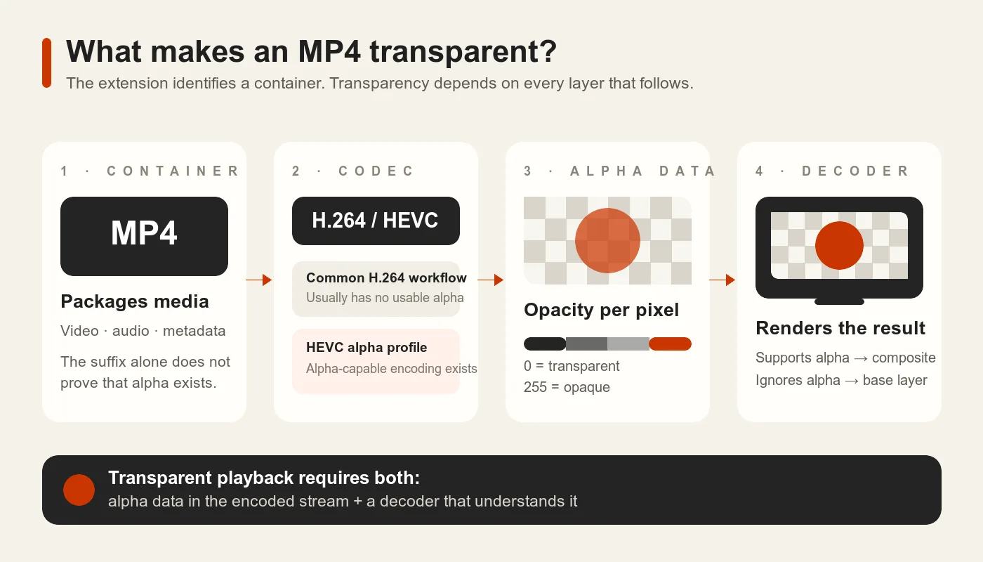 MP4 컨테이너, 동영상 코덱, 알파 데이터, 디코더가 투명 재생에 각각 어떤 영향을 주는지 보여 주는 다이어그램