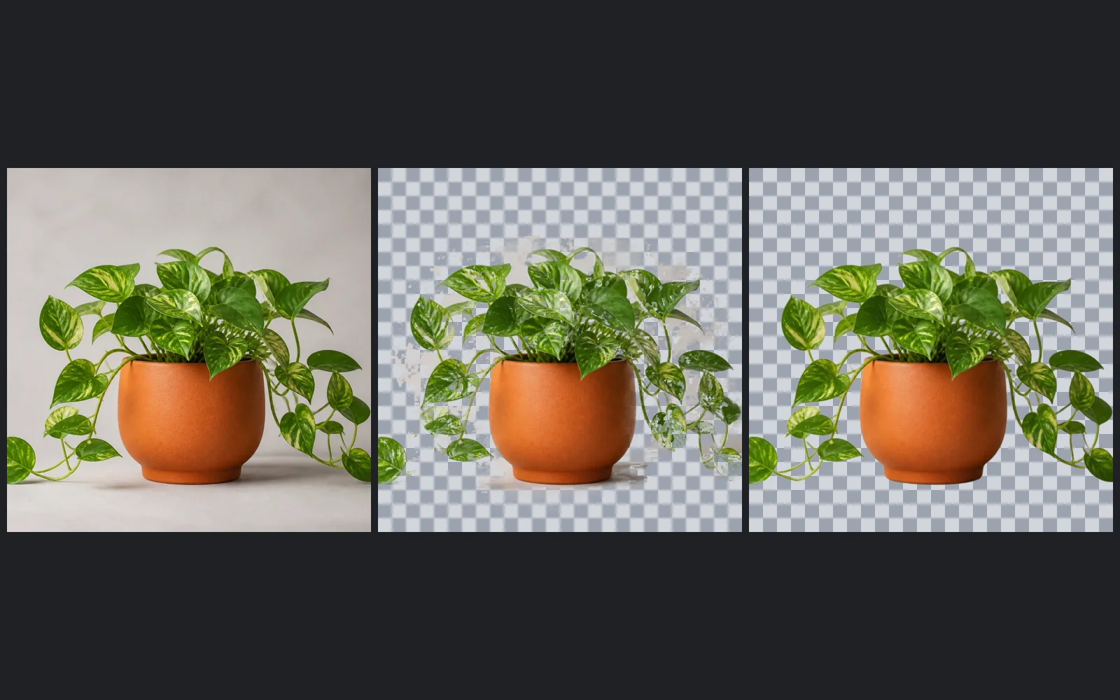 A mesma planta como fonte, uma tentativa com Foreground Select no GIMP contendo resíduos e o recorte com IA deste site