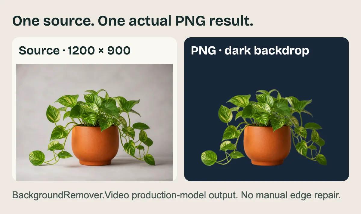 The original plant image beside its actual PNG cutout composited on a dark background