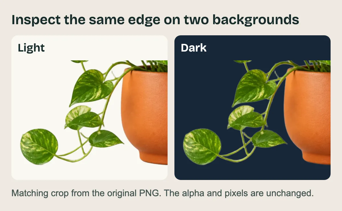 Matching crops of the plant's trailing leaf and thin stem on light and dark backgrounds